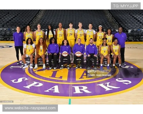 球迷文化观察：WNBA粉丝更倾向通过购买赞助商产品支持球队